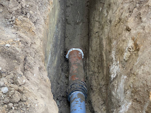 Best Professional water damage repair  in Carthage, NY