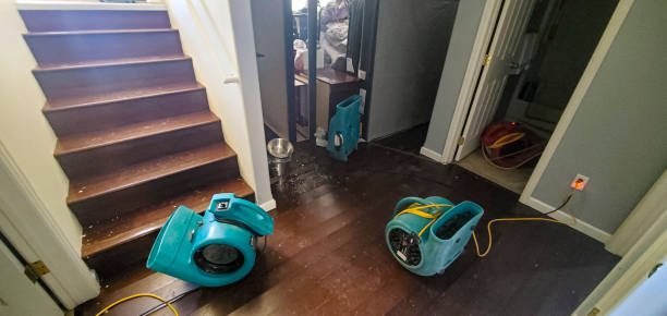 Best Water damage cleanup near me  in Carthage, NY