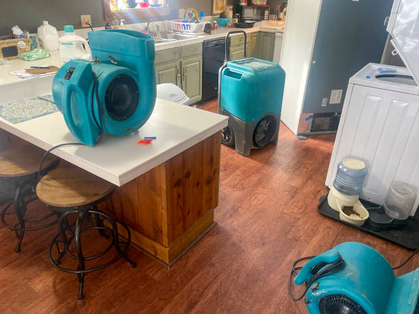 Best Flood damage cleanup  in Carthage, NY