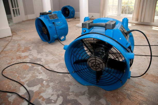 Best Carpet water damage restoration  in Carthage, NY